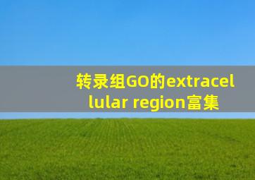 转录组GO的extracellular region富集